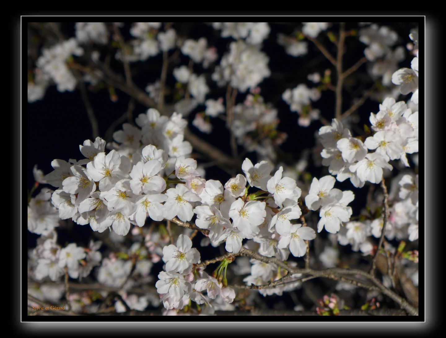 015 Osaka le chateau 