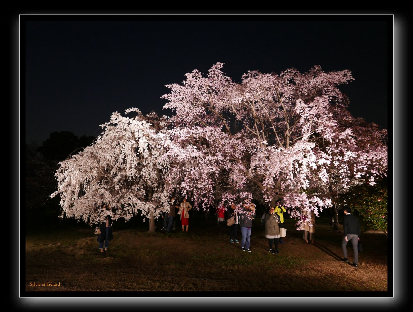 016 Osaka le chateau 