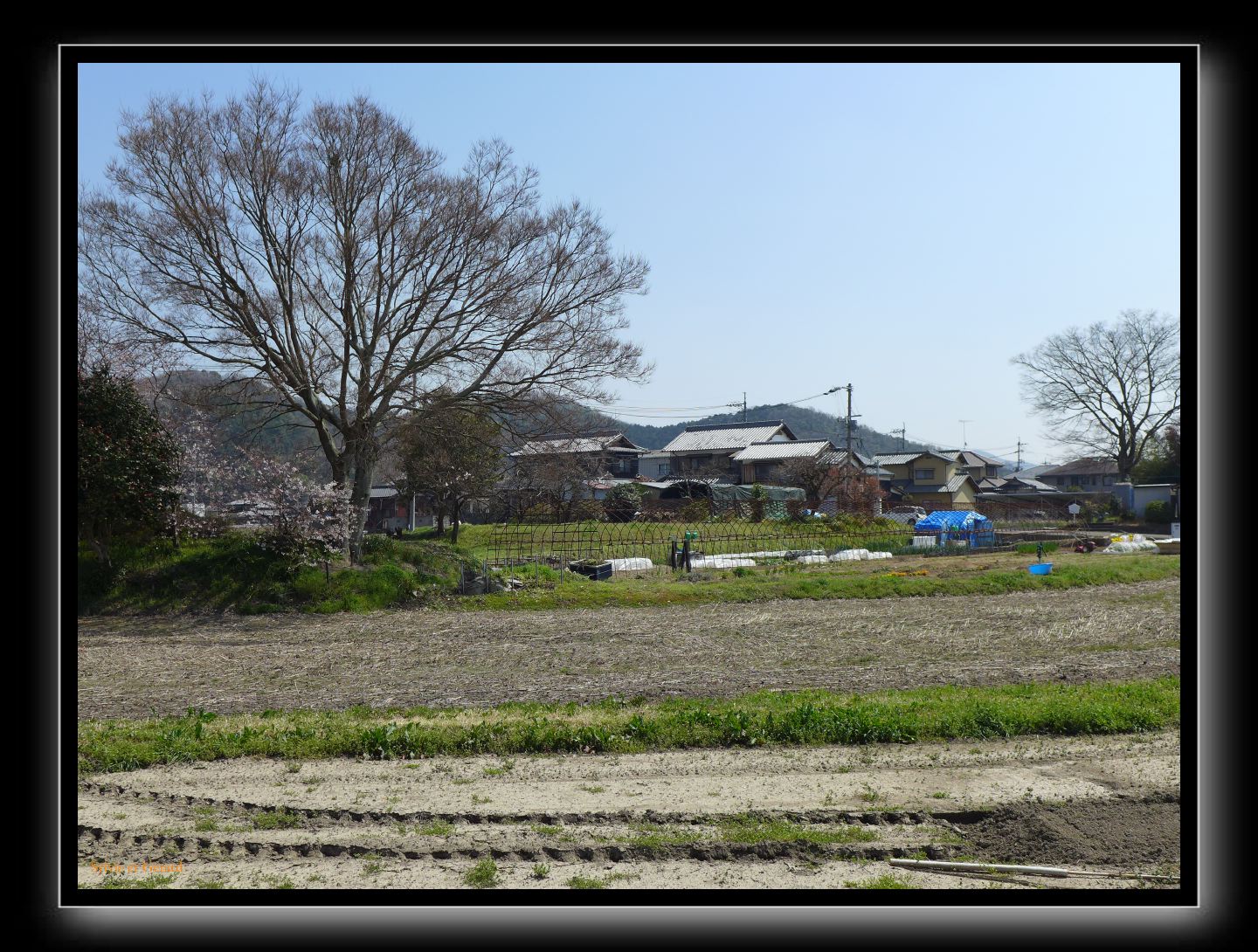 170 vers Bizen Osafune 