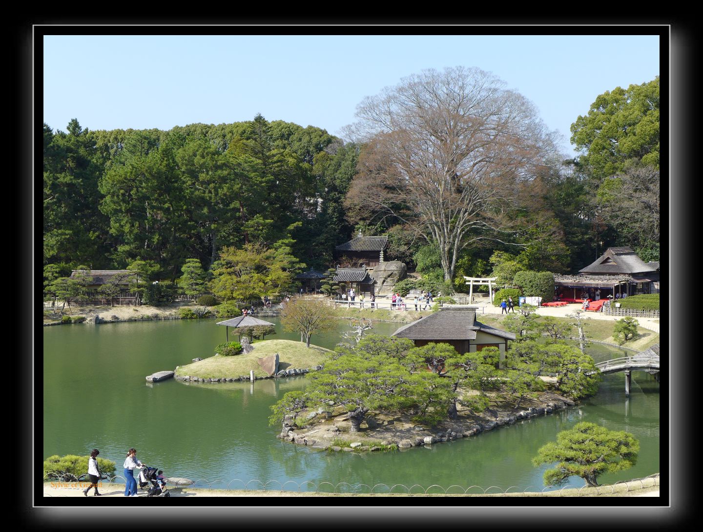 174 Okayama jardin Koraku-en 