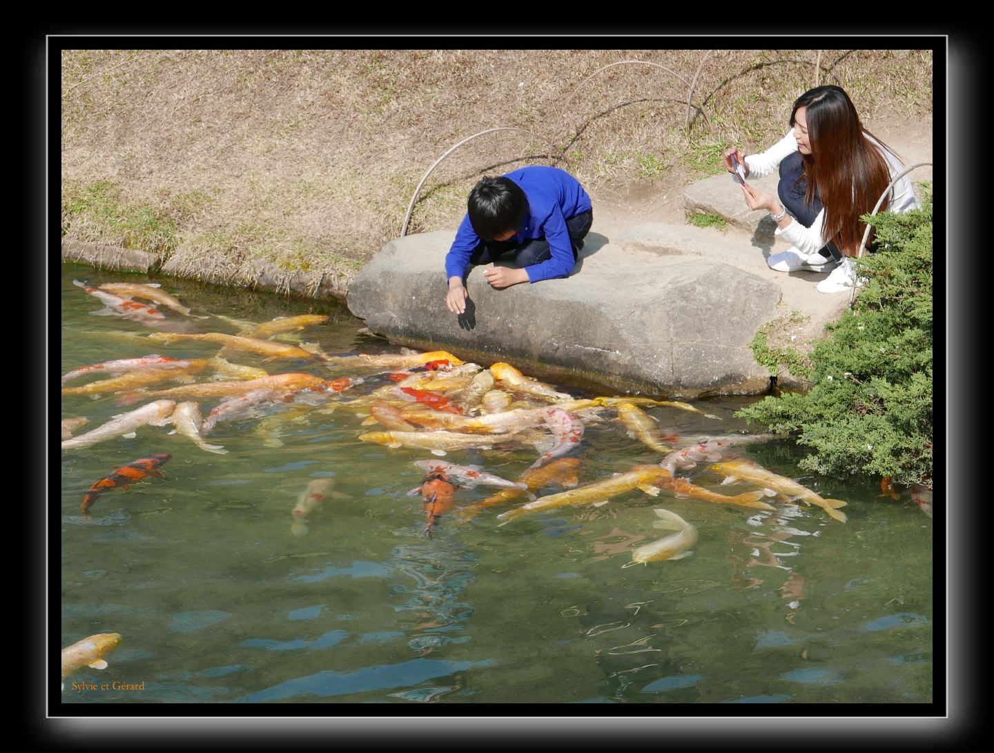 177 Okayama jardin Koraku-en 