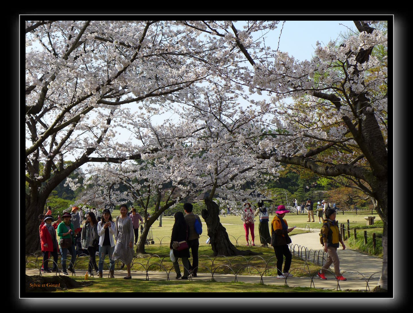 182 Okayama jardin Koraku-en 