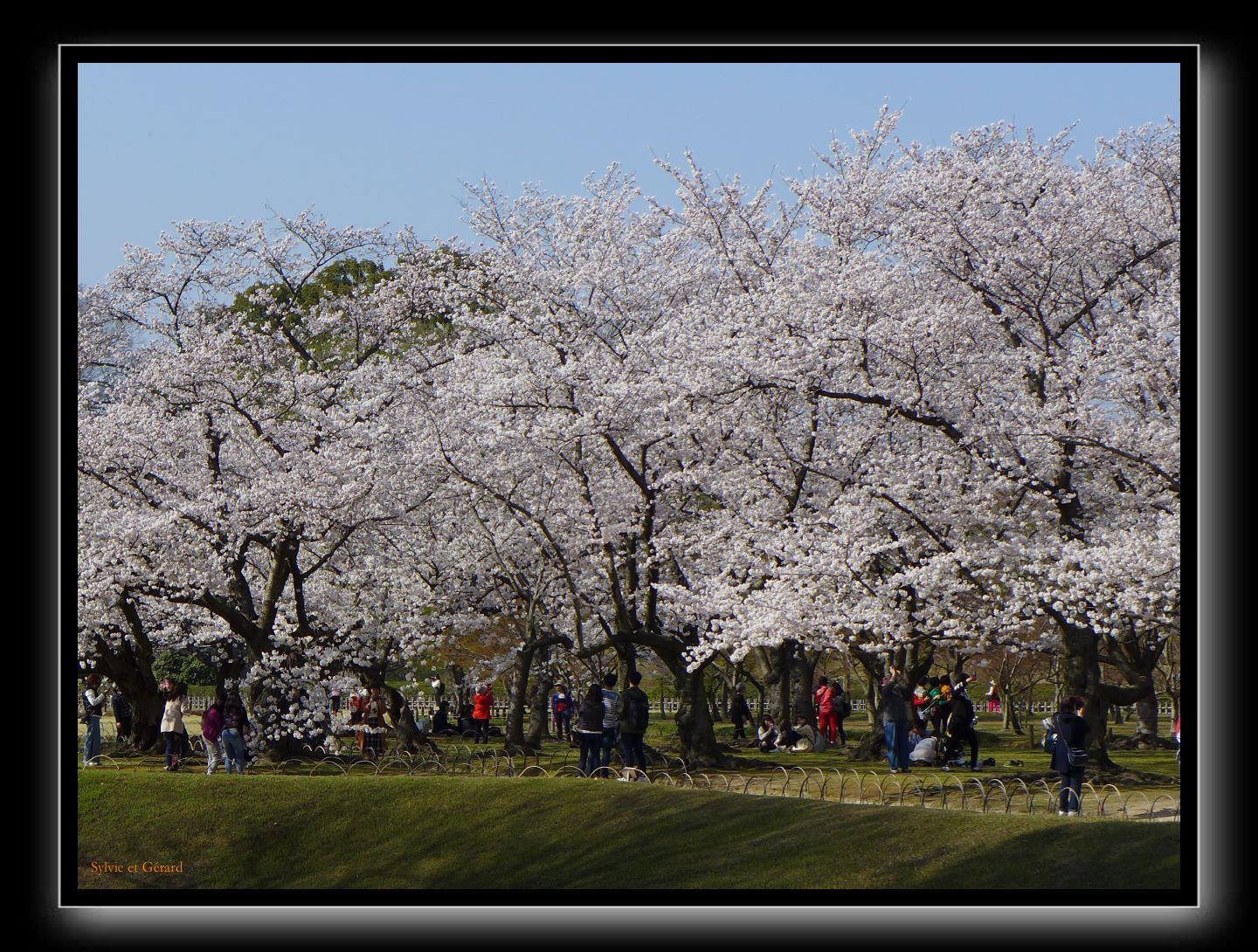 183 Okayama jardin Koraku-en 