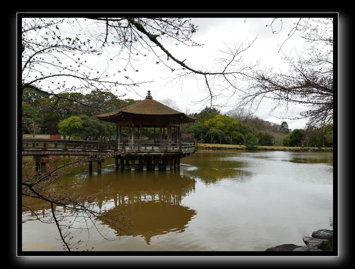 196 Nara étang Sagi Iké