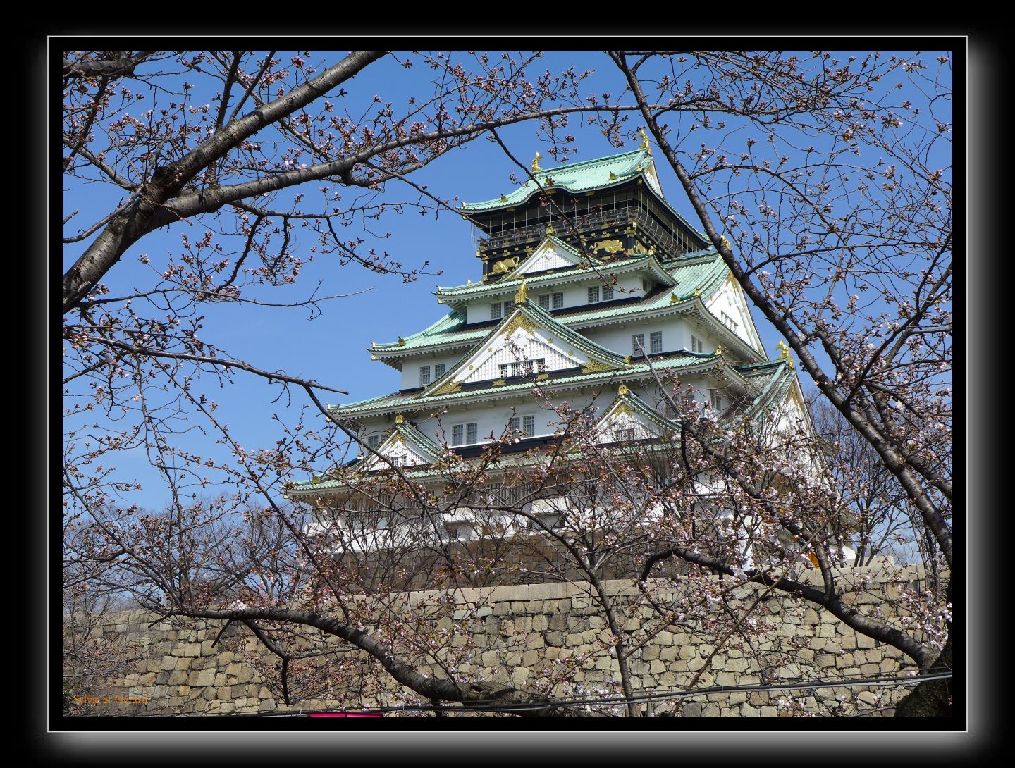 001 Osaka le chateau 