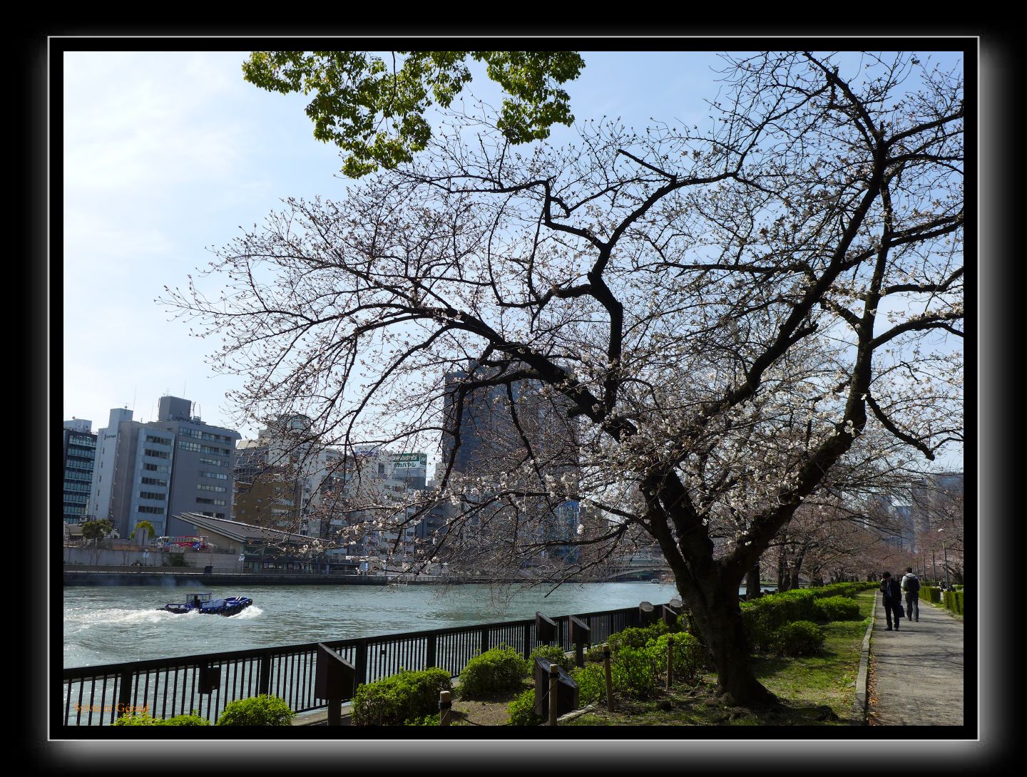 019 Osaka Minami Temma Park 