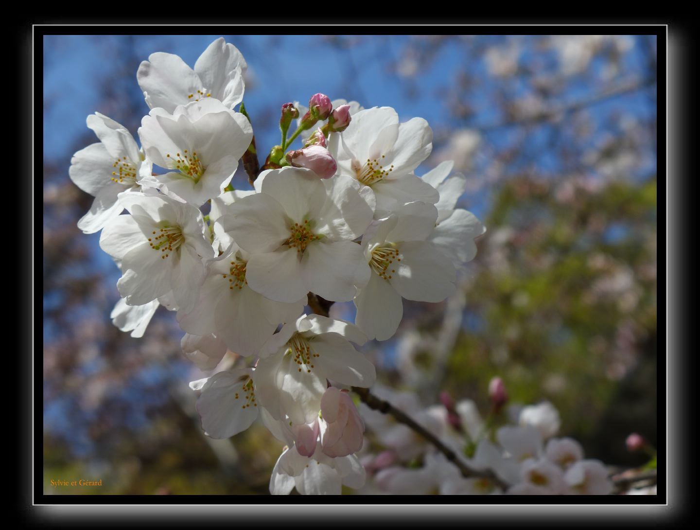 020 Osaka Minami Temma Park 