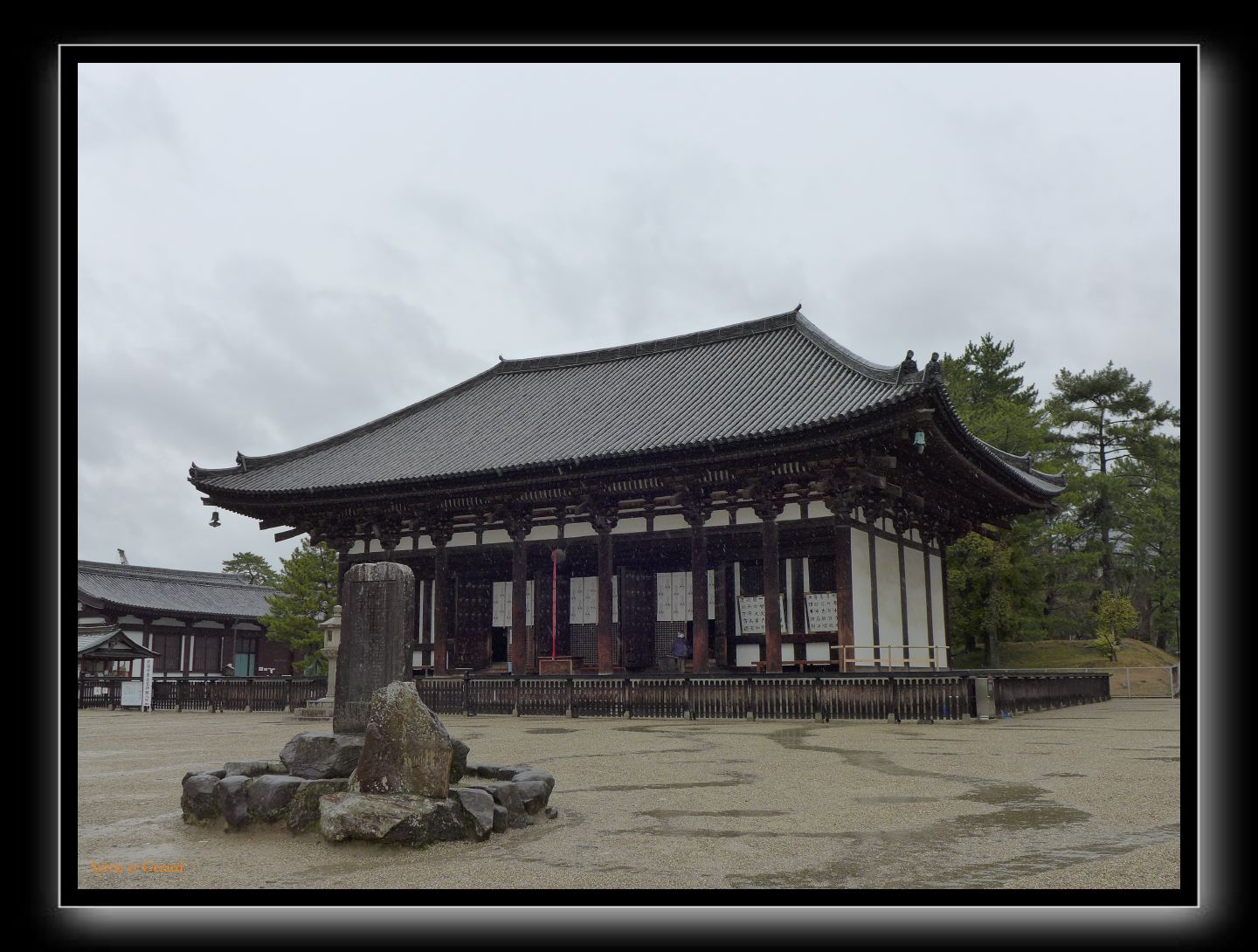 213 Nara Kofuku-ji 