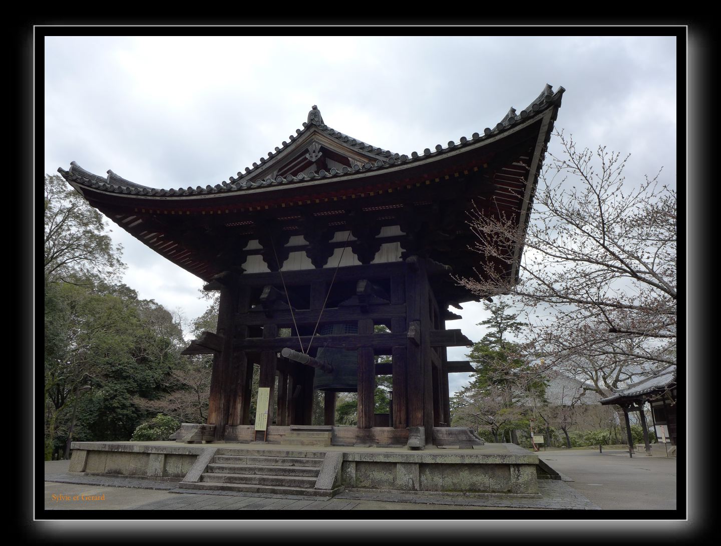220 Nara Todai-ji 6