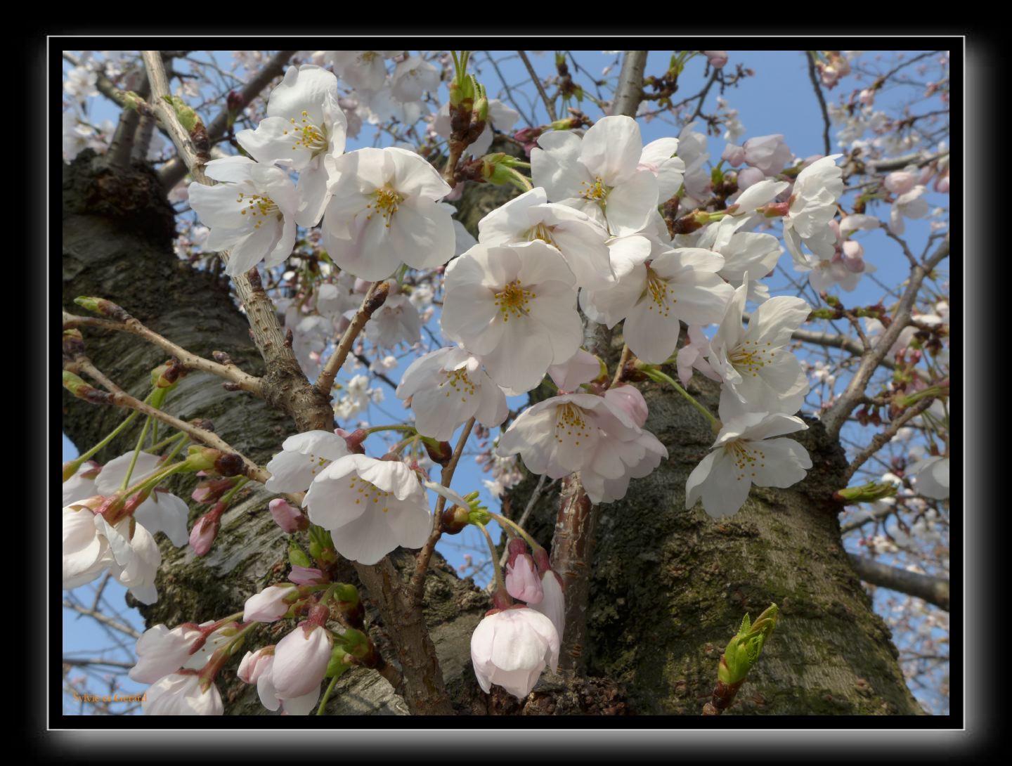 031 Osaka Parc Sakuranomiya 