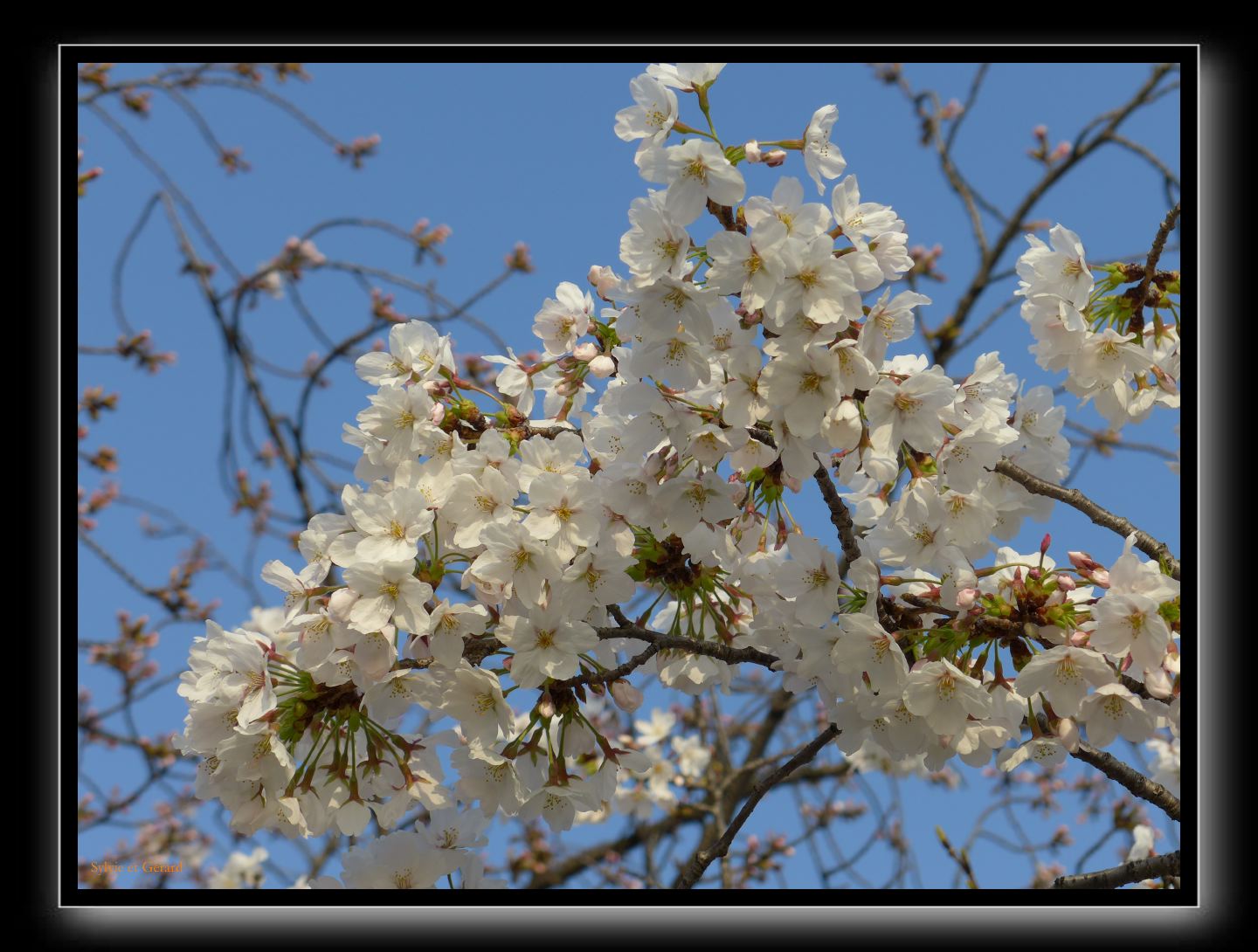 036 Osaka Parc Sakuranomiya 