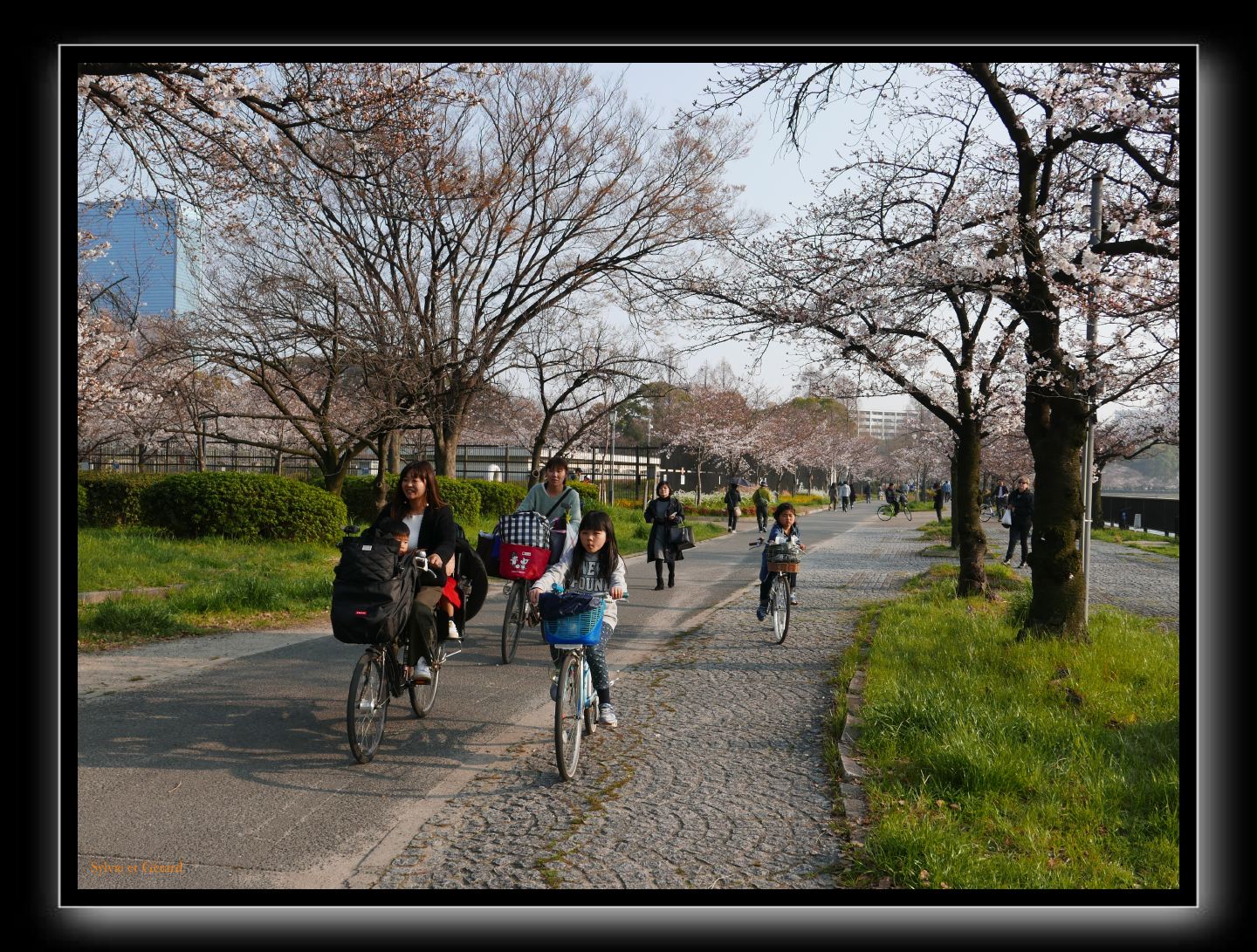 037 Osaka Parc Sakuranomiya 