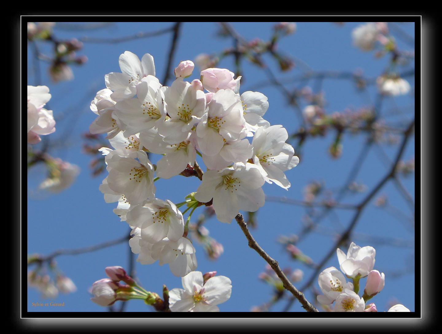 003 Osaka le chateau 