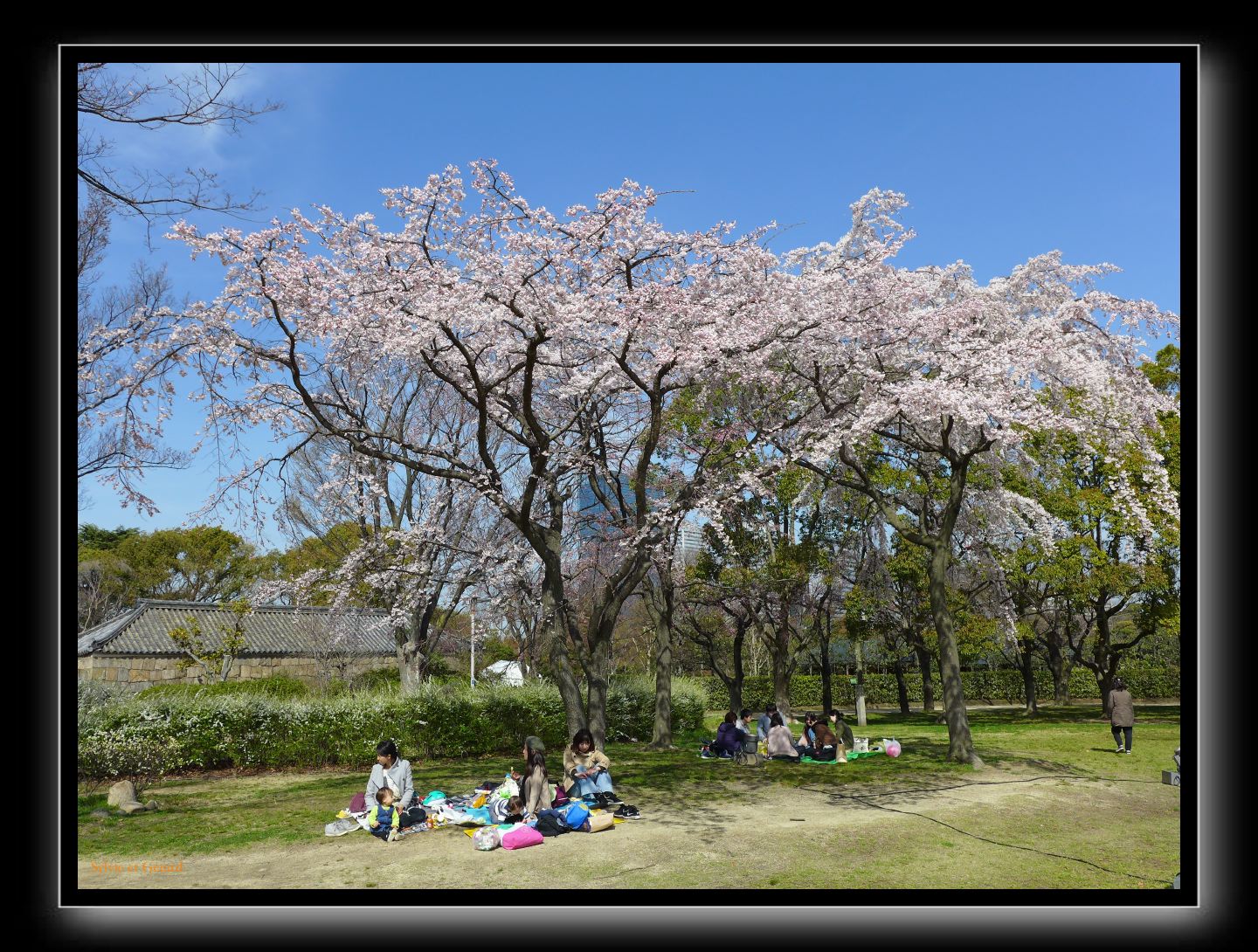 004 Osaka le chateau 