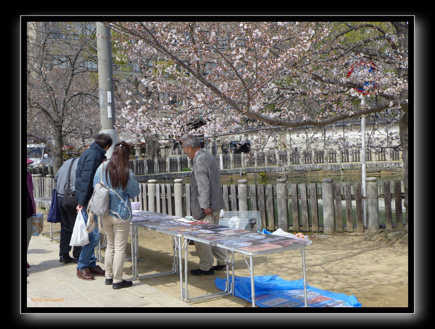 060 Osaka Shitenno-ji les étals sous les cerisiers