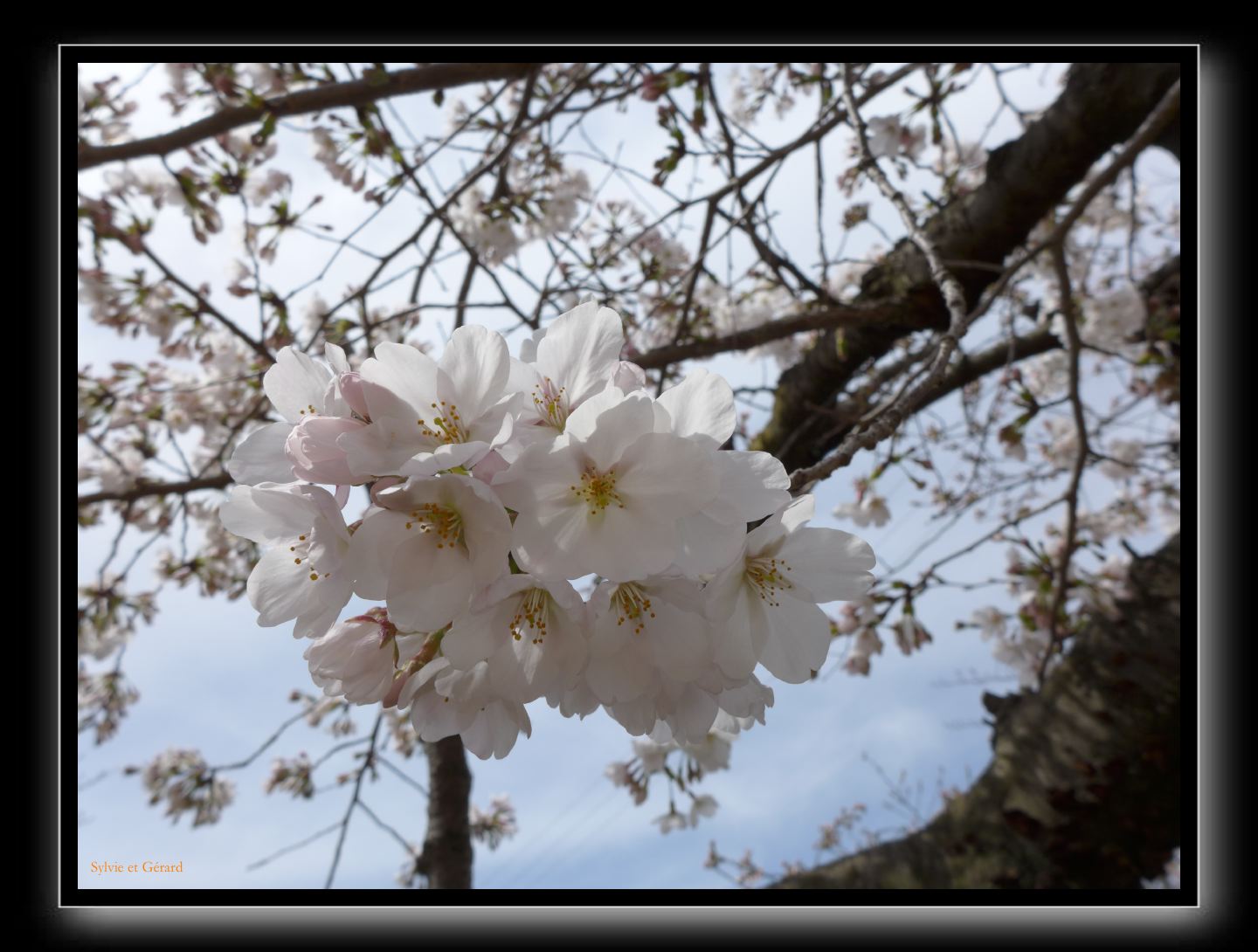 068 Osaka Shitenno-ji 