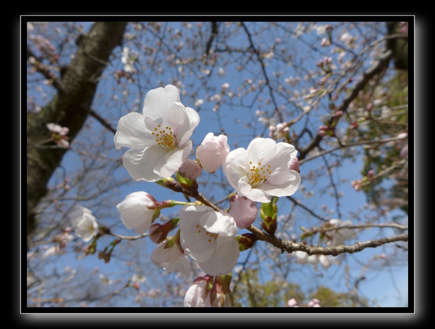 006 Osaka le chateau 