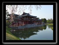 105 Uji  Byodo-in  pavillon du phénix