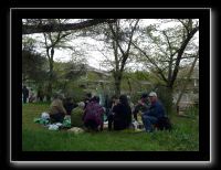 112 Uji  mais toujours l'occasion de fêter les cerisiers en fleurs