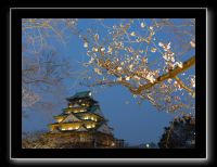 012 Osaka le chateau 