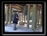 149 Himeji Engyi Ji la terre va encore trembler, un séisme de plus au Japon