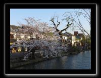 160 Kurashiki  quartier historique de Bikan