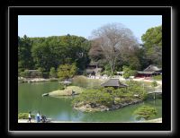 174 Okayama jardin Koraku-en 