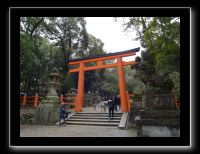 202 Nara Kasaga Taishe