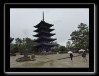 212 Nara Kofuku-ji