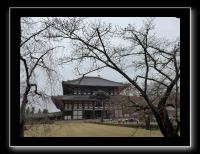 215 Nara Todai-ji