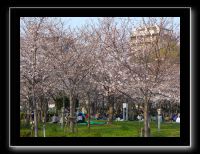 035 Osaka Parc Sakuranomiya 
