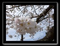 068 Osaka Shitenno-ji