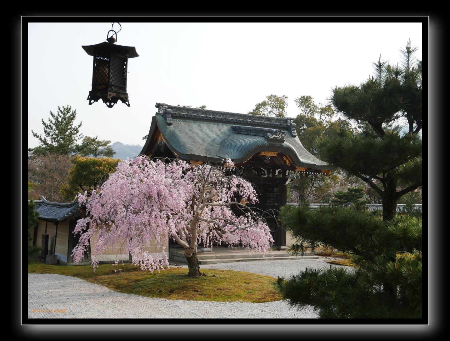 009 Kyoto Arashiyama Daikaku-ji  d'abord villa de l'empereur Saga dans les années 800