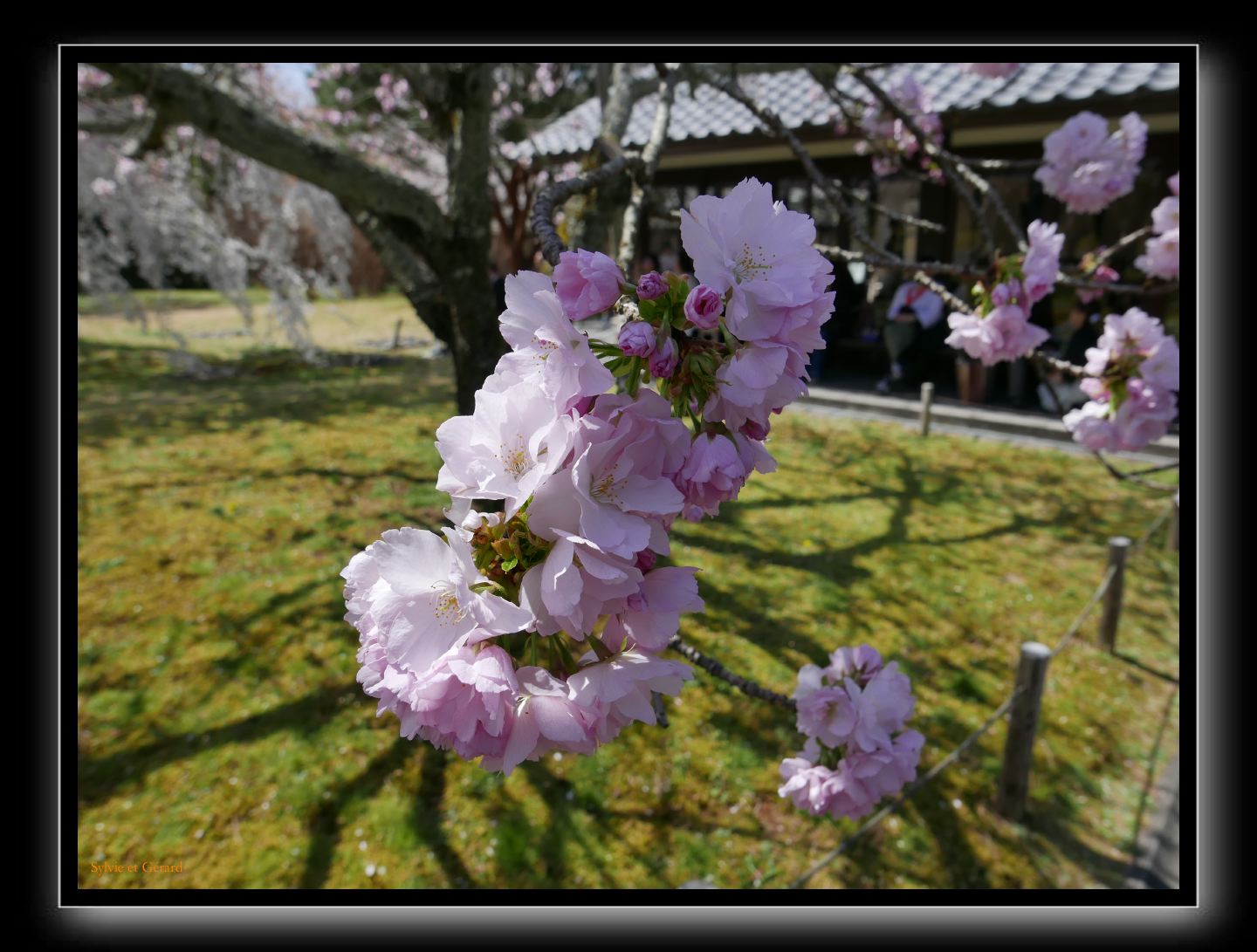 100 Kyoto Daigo-ji 