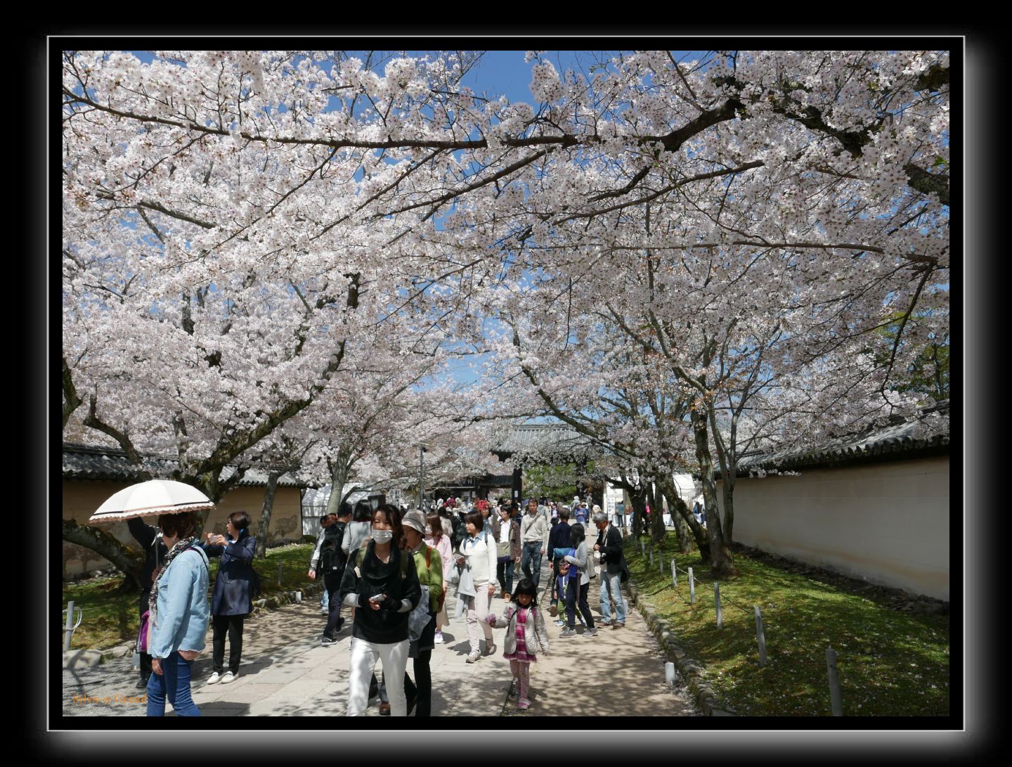 103 Kyoto Daigo-ji 