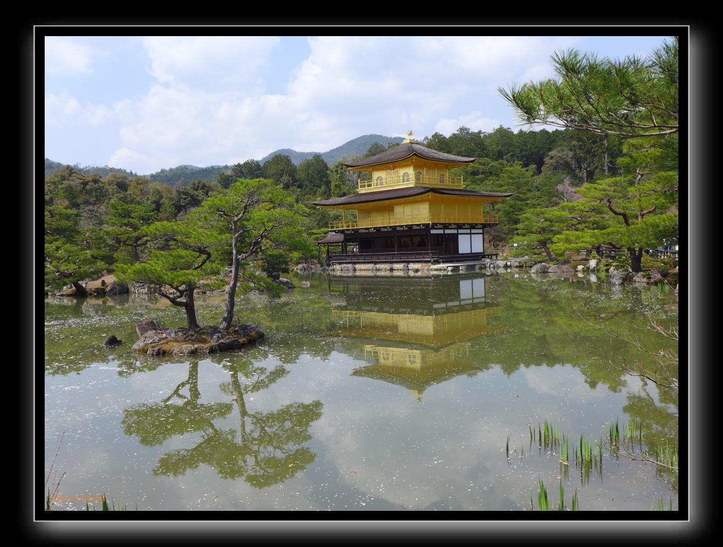 104 Kyoto Temple d'Or 