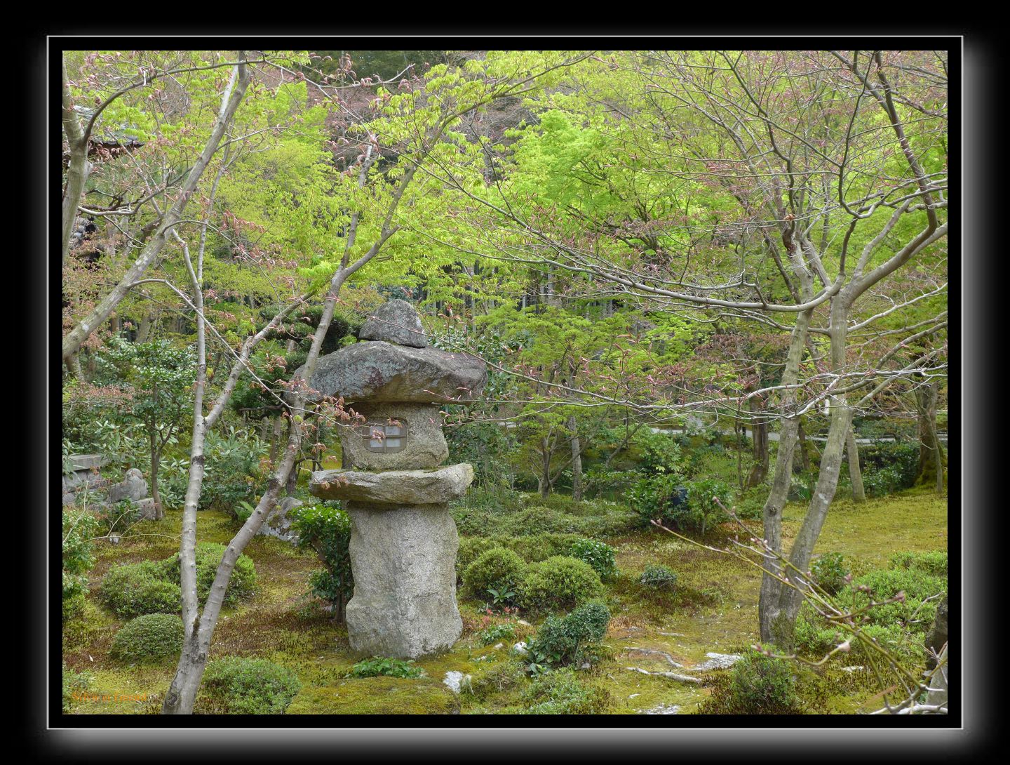 119 Kyoto Enko-ji 