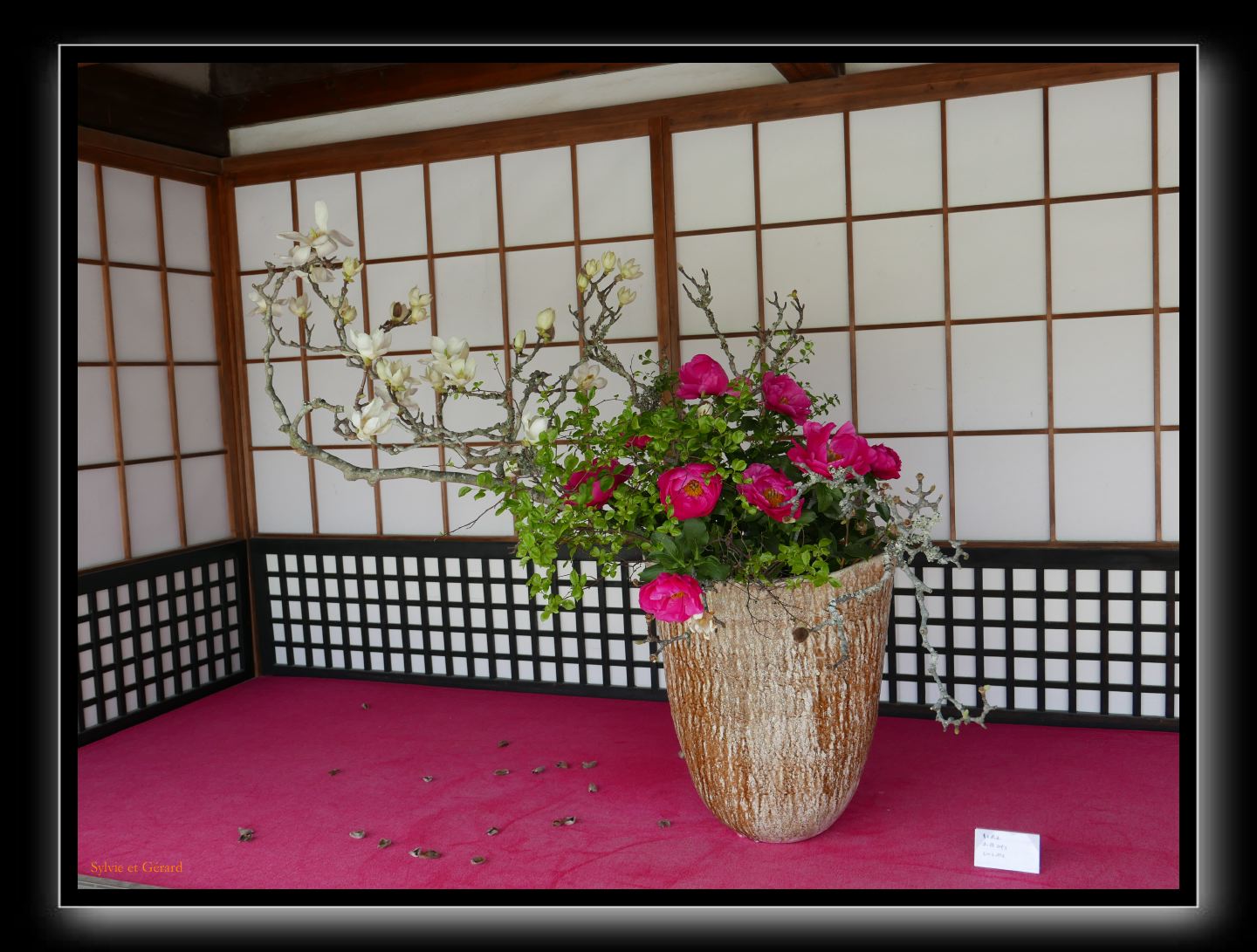 013 Kyoto Arashiyama Daikaku-ji  le Daikaku-ji serait le temple originel de l'art de l'arrangement floral il y a 1200 ans