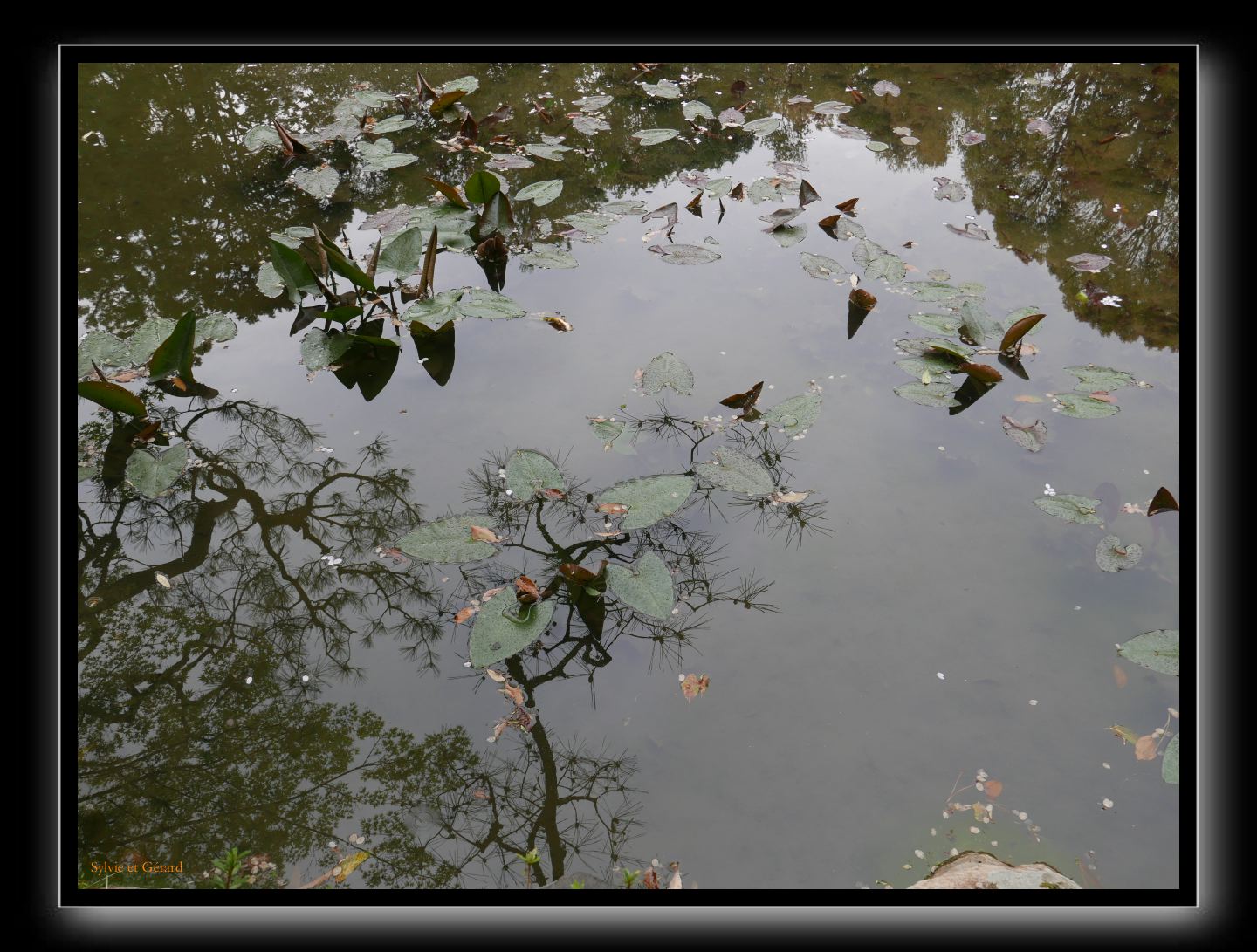 140 Kyoto Heian Jingu 