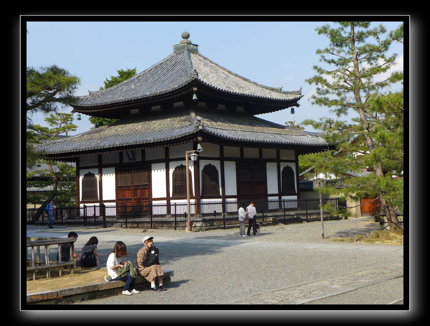 148 Kyoto Jardin Taizo-in Myoshin-ji 