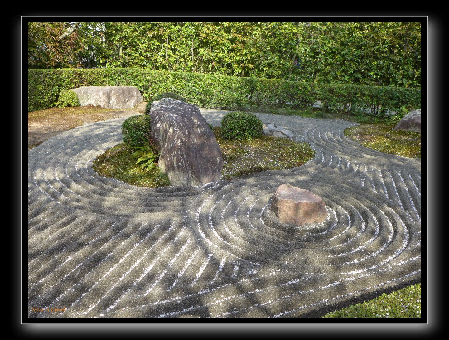 150 Kyoto Jardin Taizo-in Myoshin-ji 