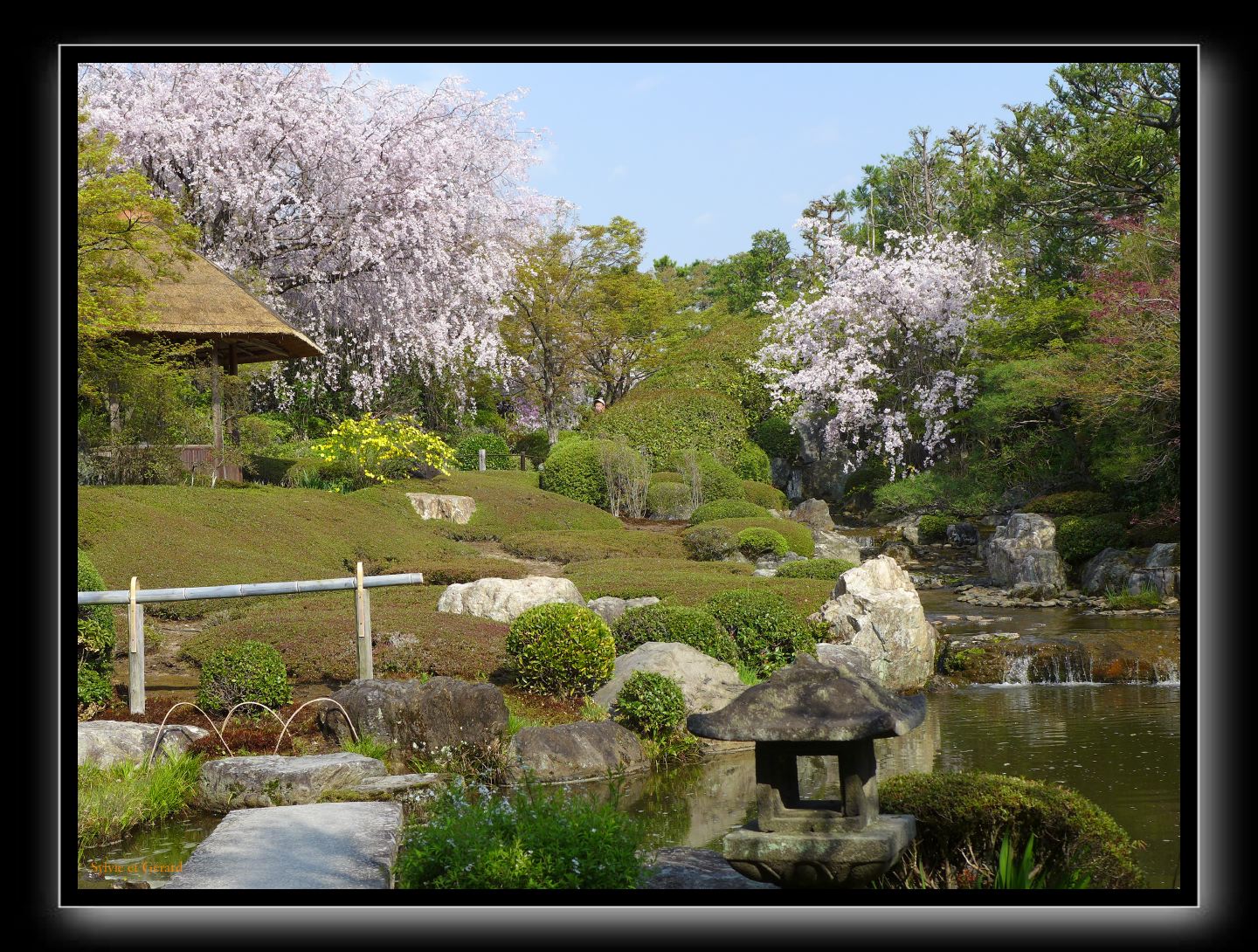 151 Kyoto Jardin Taizo-in Myoshin-ji 
