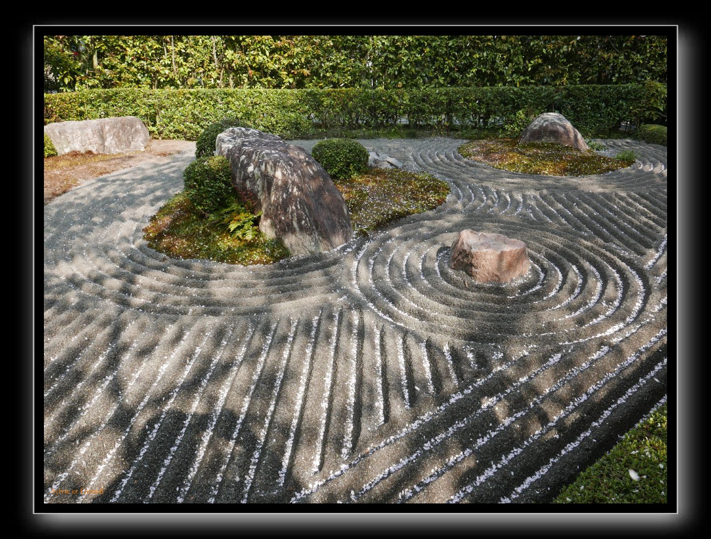 153 Kyoto Jardin Taizo-in Myoshin-ji 