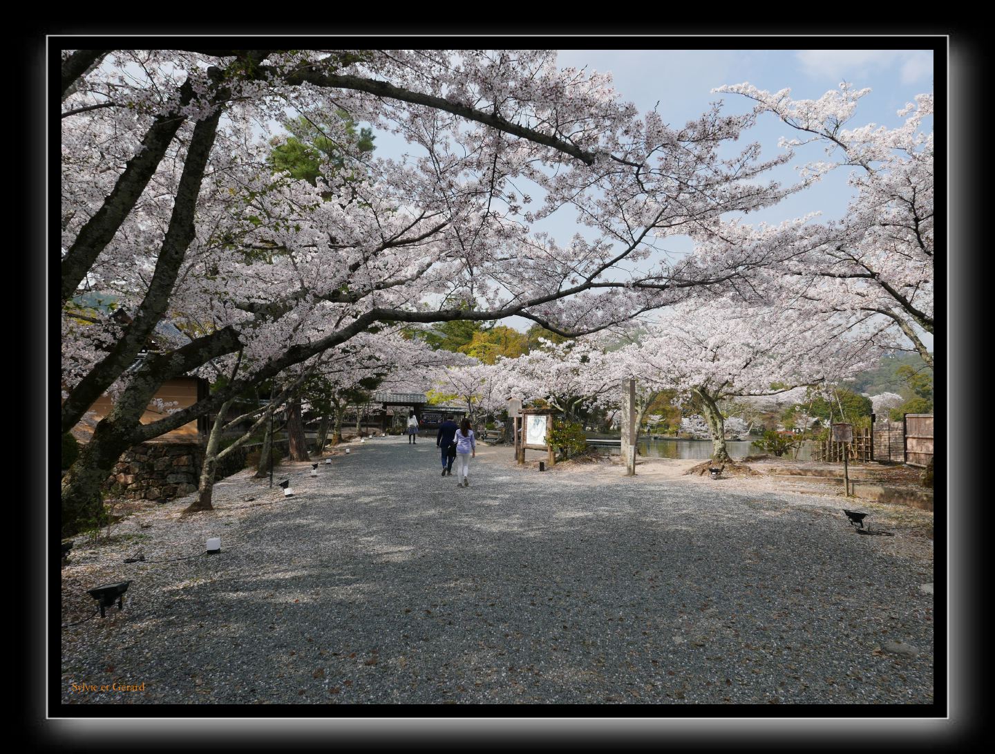 001 Kyoto Arashiyama Daikaku-ji l'entrée du parc