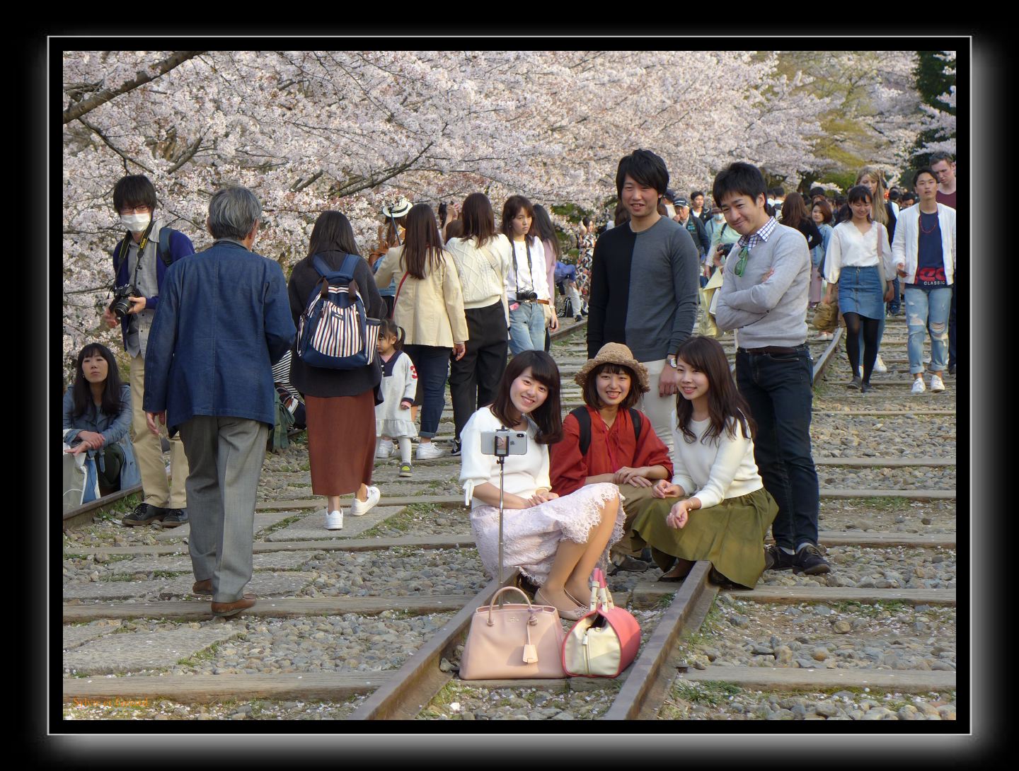 205 Kyoto l'aqueduc et le réservoir 
