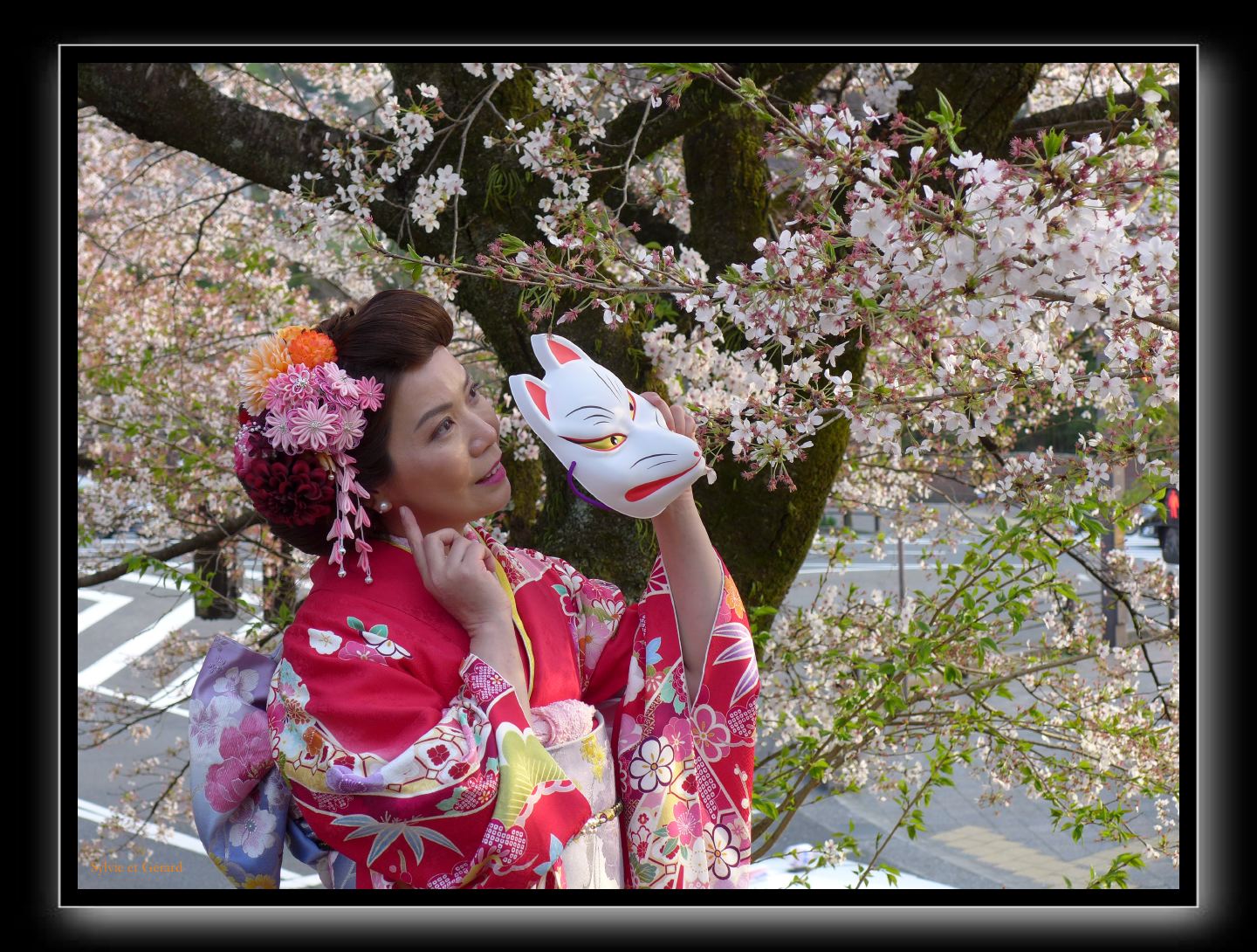206 Kyoto l'aqueduc et le réservoir 