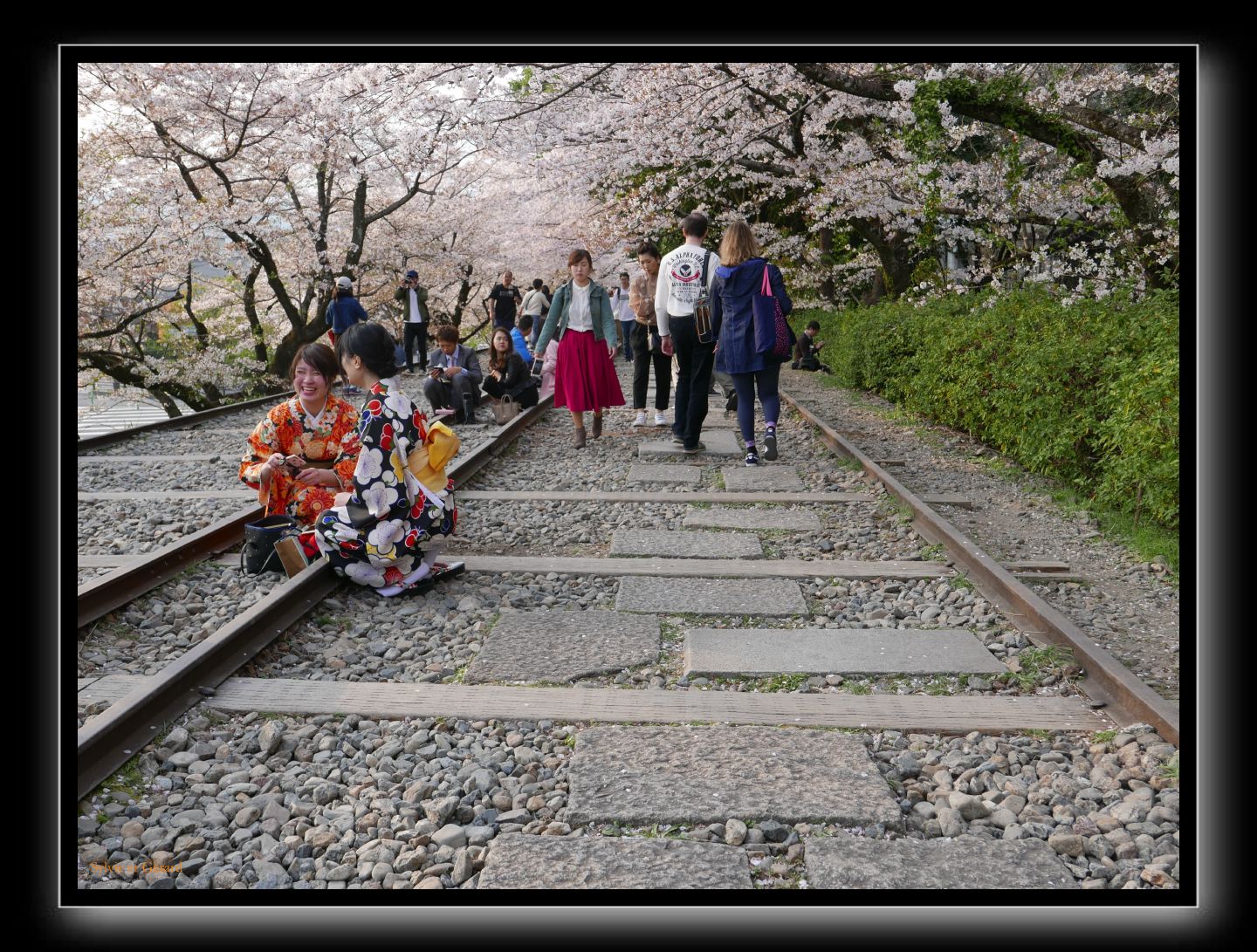 207 Kyoto l'aqueduc et le réservoir 