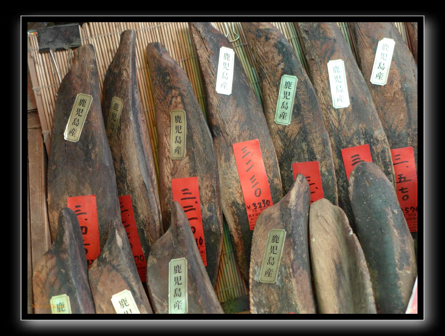 221 Kyoto marché Nishiki et les galeries  bonites séches