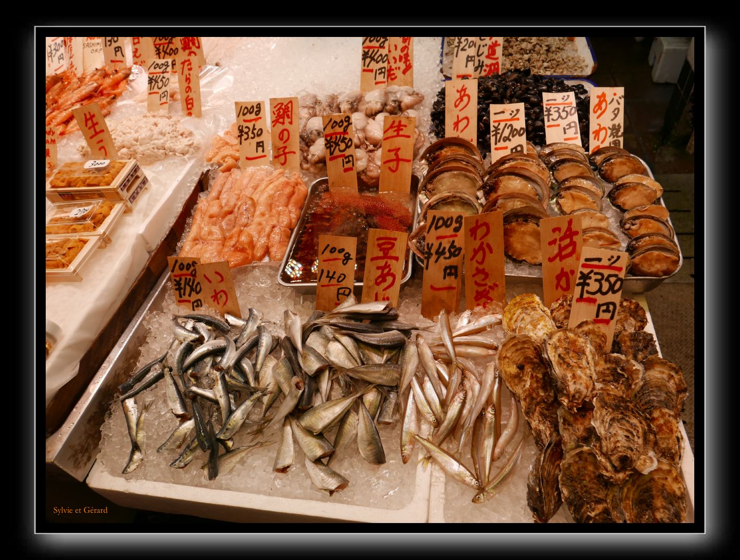 223 Kyoto marché Nishiki et les galeries 