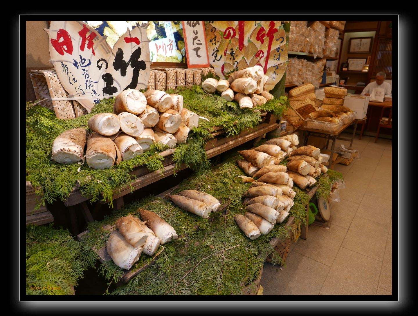 225 Kyoto marché Nishiki et les galeries  pousses de bambou